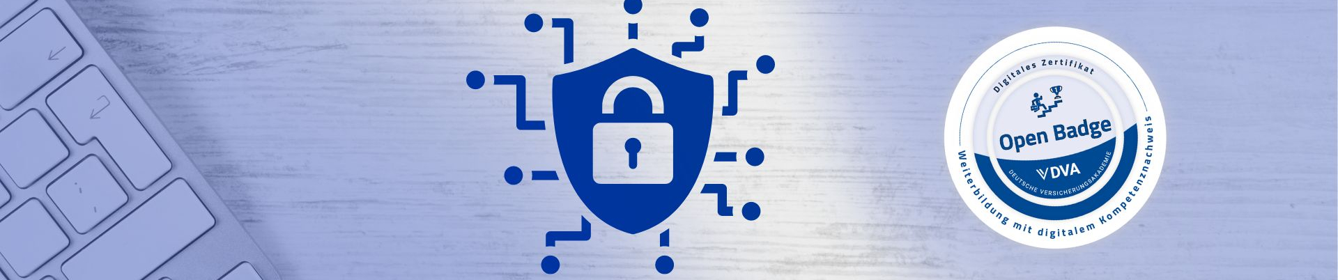 Experte/-in Cyberversicherung (DVA)